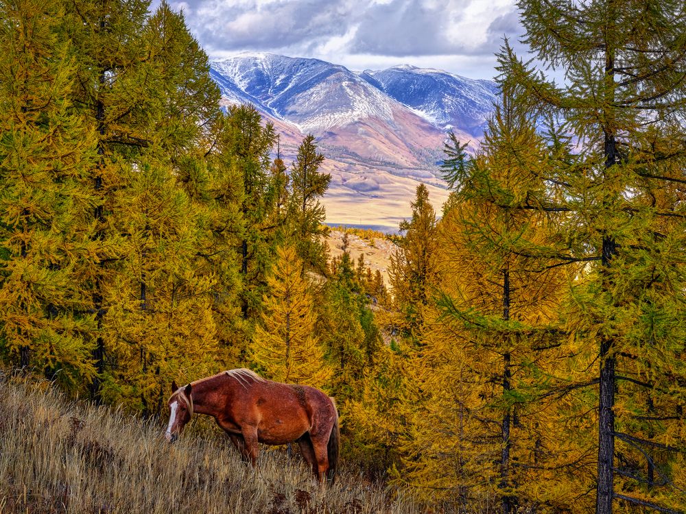 Photograph by Иван Рочев