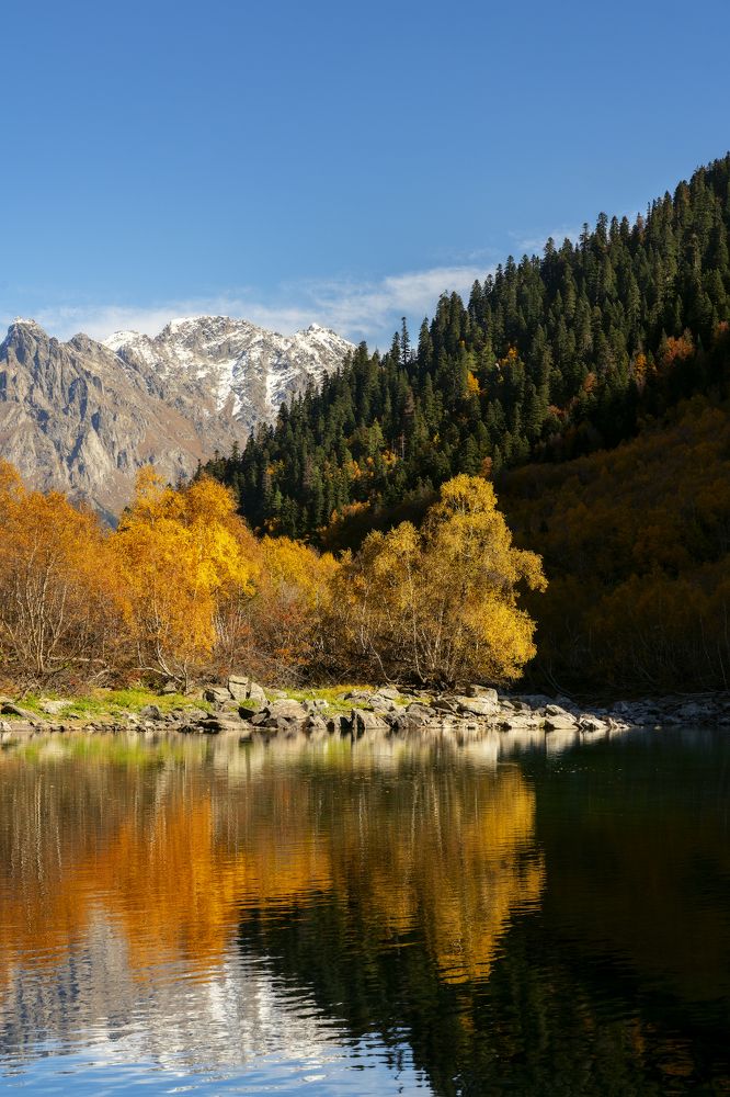 Photograph by Юлия Шумляева