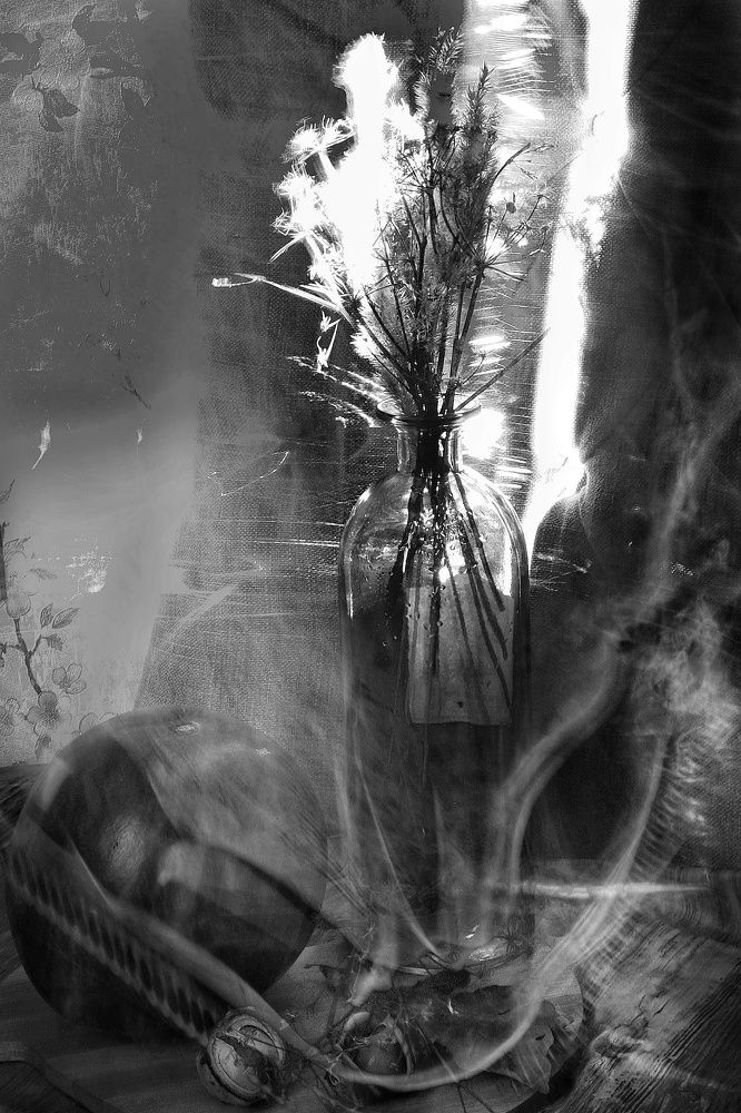 Photograph by Olga Asson