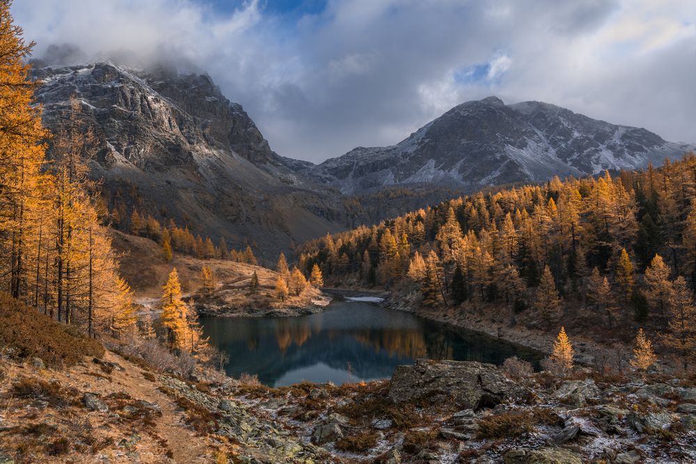 Перед снегопадом