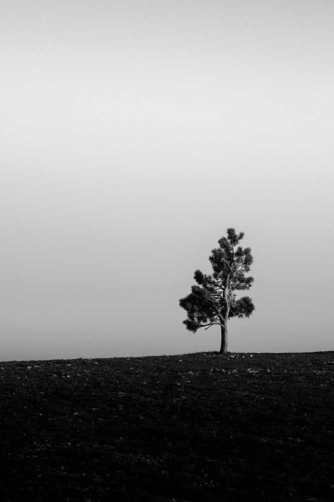 Photograph by Андрей Данчишин