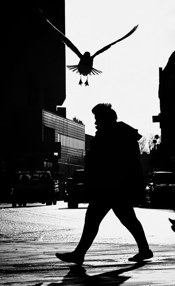 Фотография автора Елена Лаврова