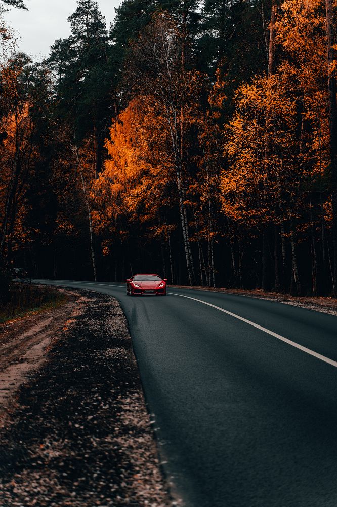 Photograph by Фархат Сабирзянов