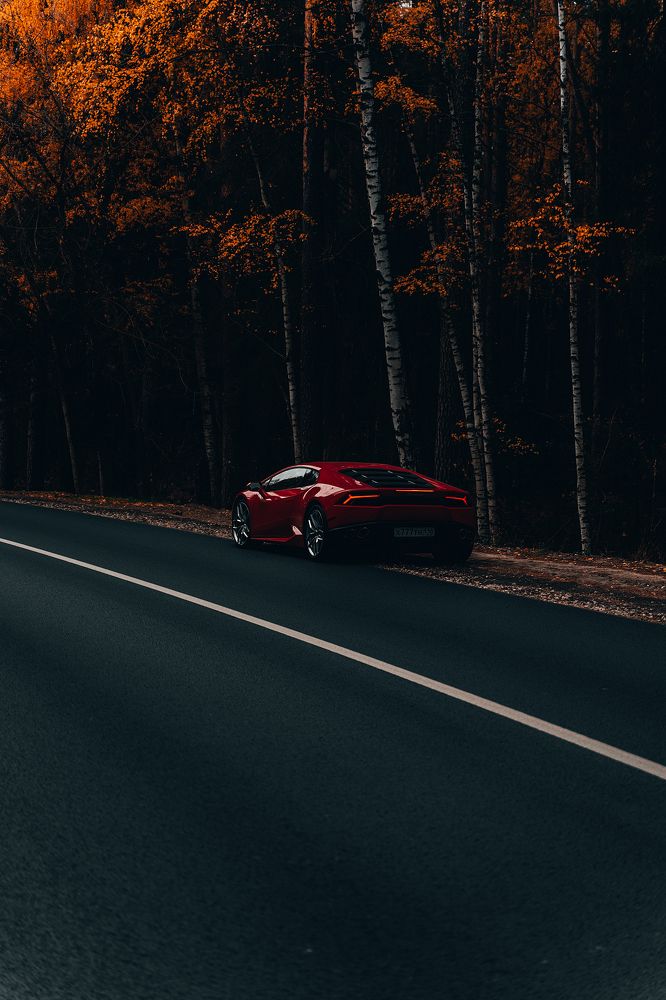 Photograph by Фархат Сабирзянов