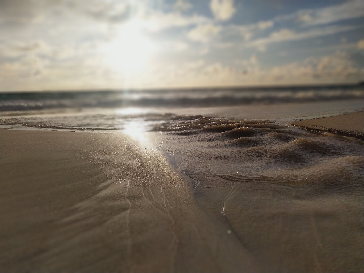 Photo #6608665