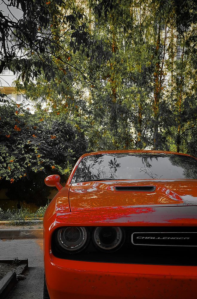 Photograph by Екатерина Гордеева