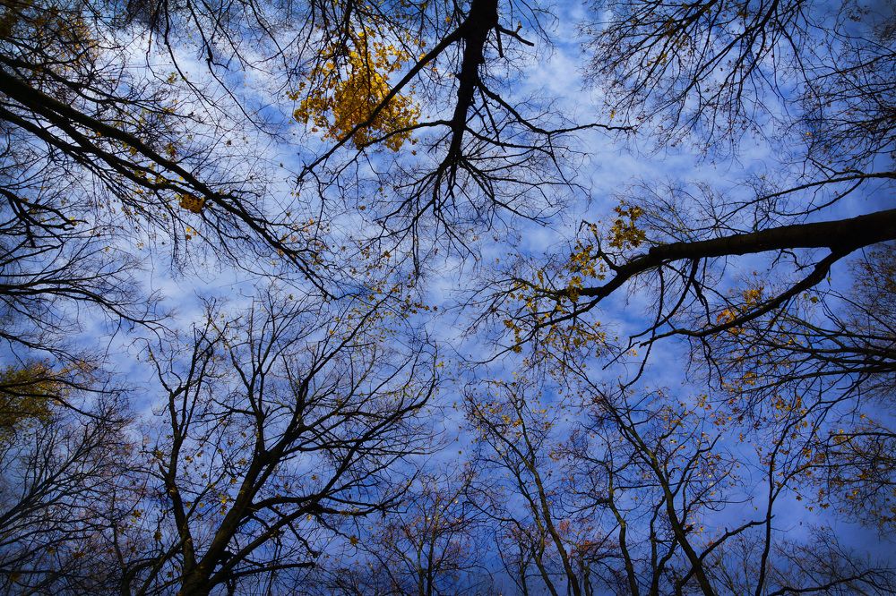 Photograph by Олег Чубайкин