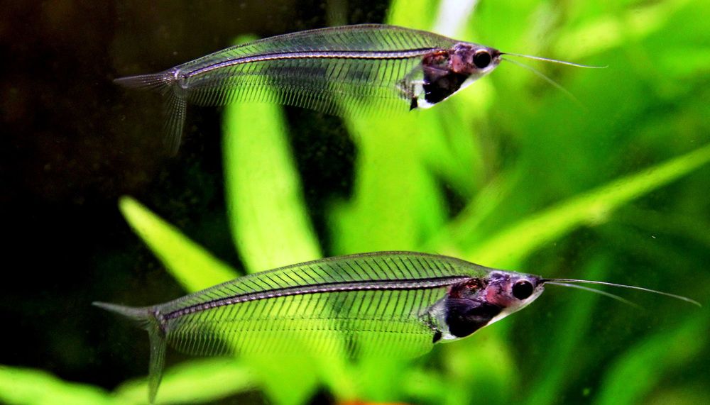 Photograph by Александр Бугаенко