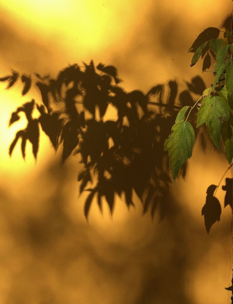 Photograph by Евгений Шуст