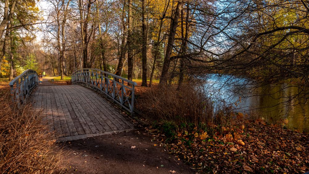 Фотография автора Андрей Васильев