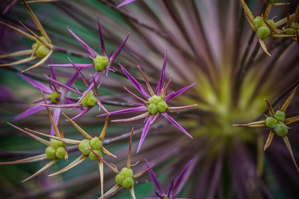 Photograph by Valdis Serzhans