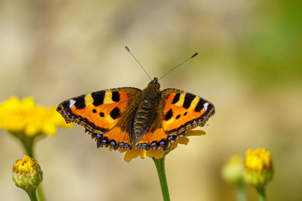 Photograph by Valdis Serzhans