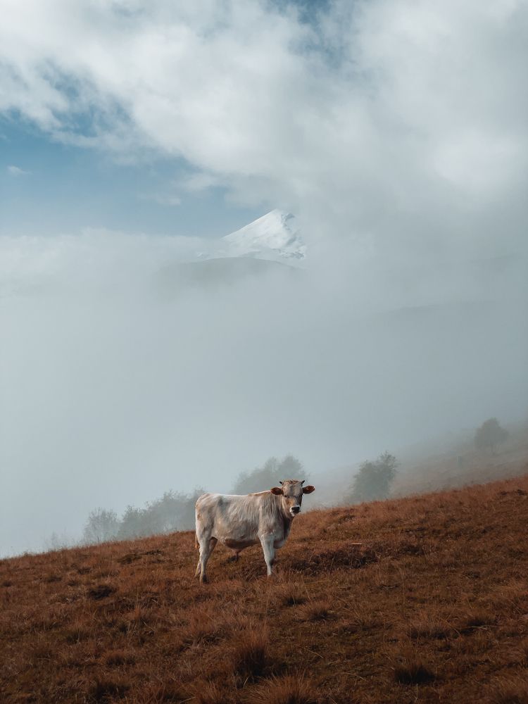 Фотография автора Анастасия Мазурева