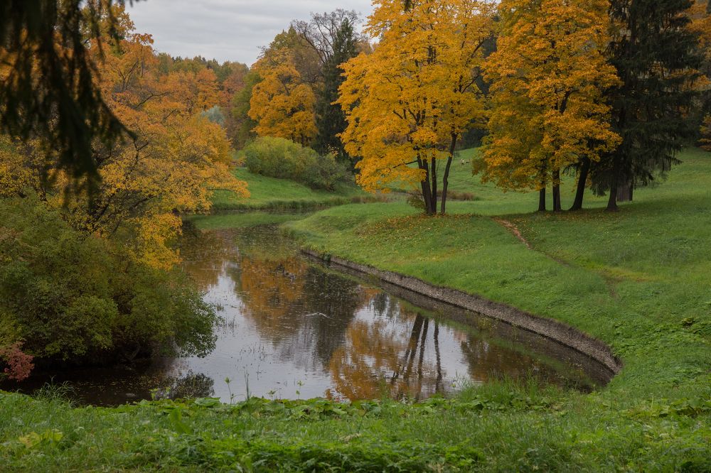 Photograph by Инна Юдина