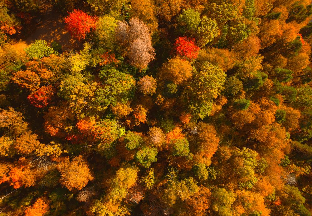 Photograph by Антон Парфентьев