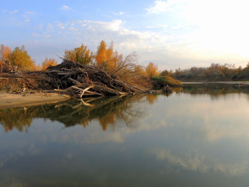 Photograph by Дмитрий Щербаков