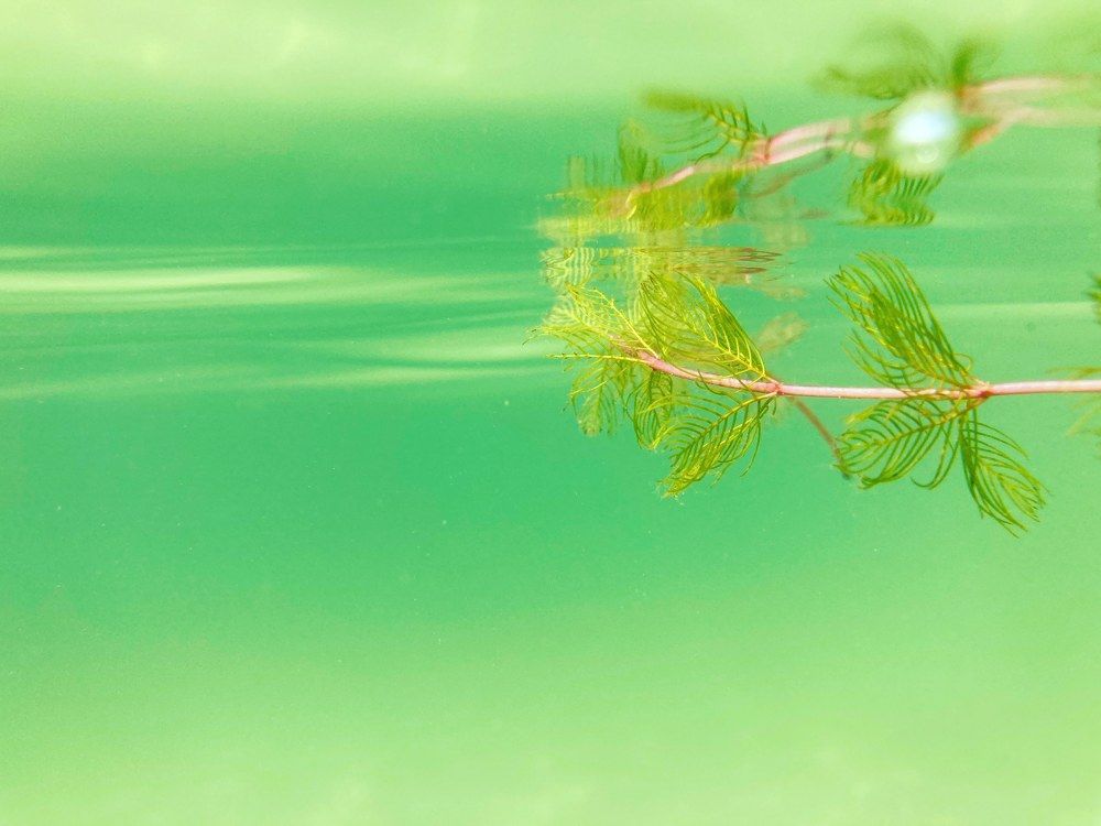 Photograph by Dmitrij Akhatov