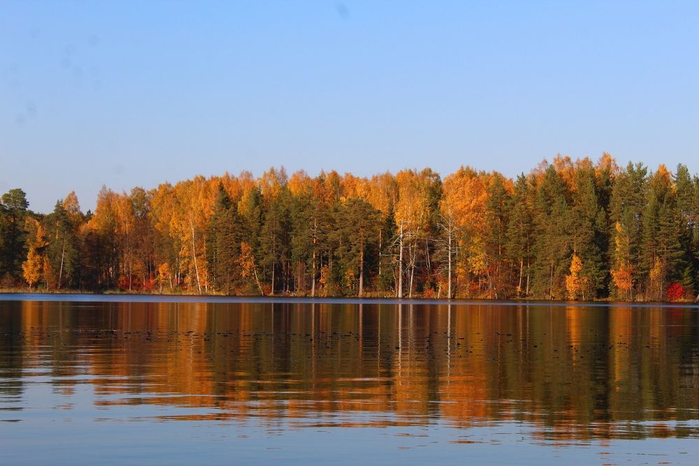 Photograph by Варвара Кочнева
