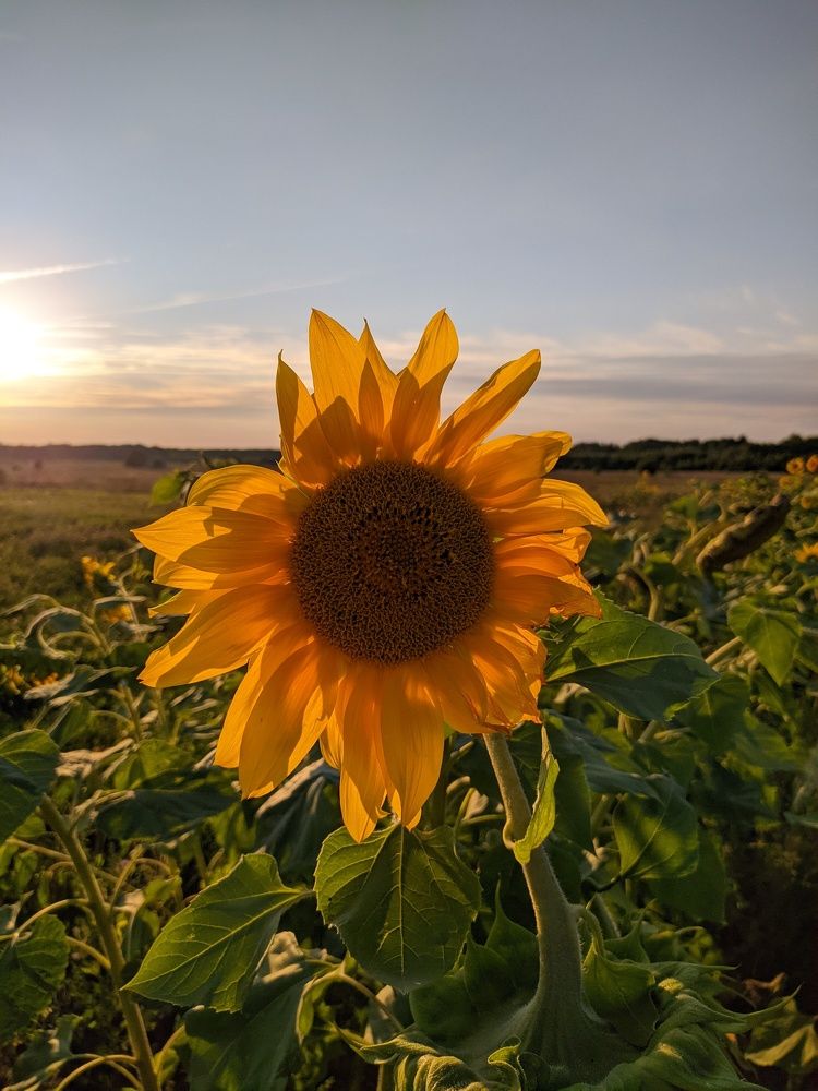 Photograph by Светлана