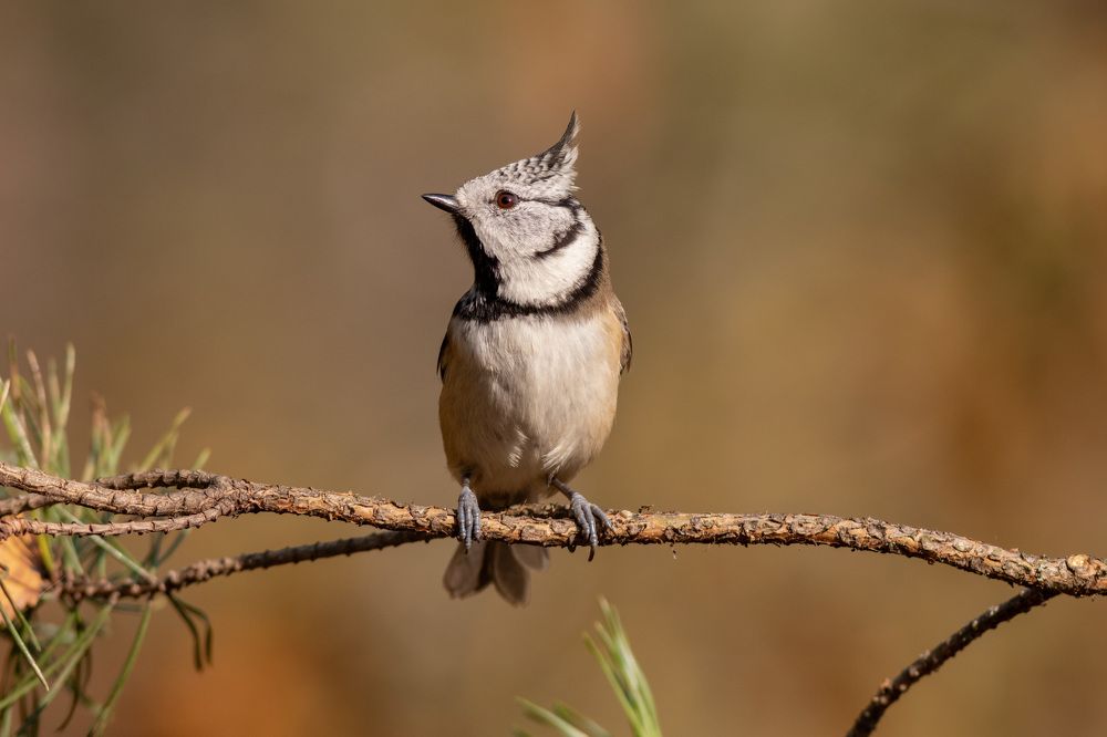 Photograph by Павел Краснослободцев