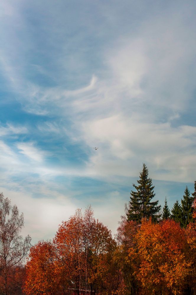 Photograph by  Kerry Moore