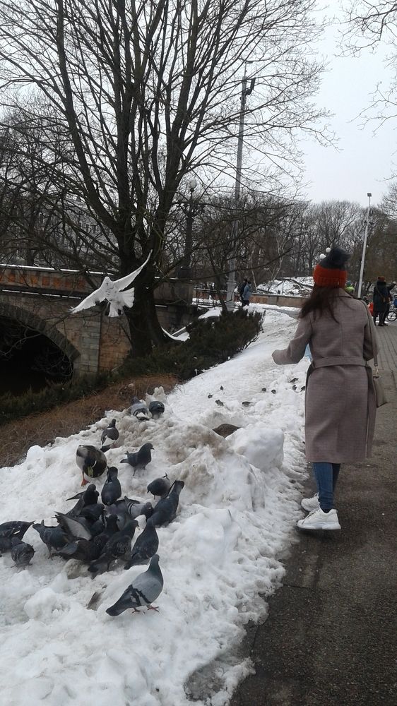 Photo #6608987