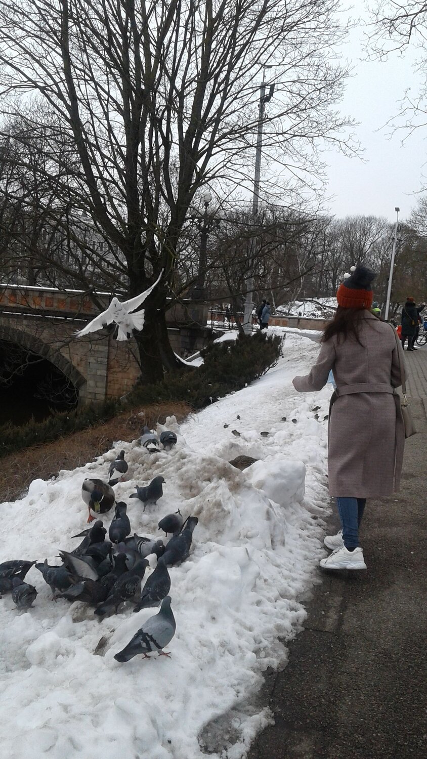Photo #6608987