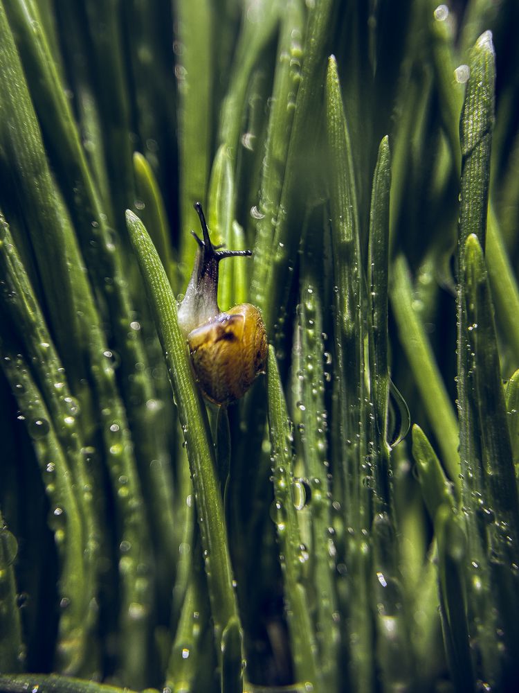 Photograph by Natalya Bulynnikova