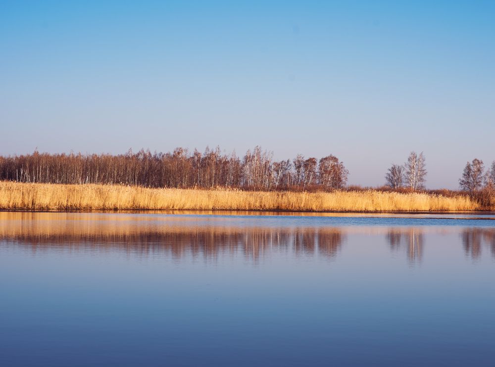 Photograph by Олег Зальвовский