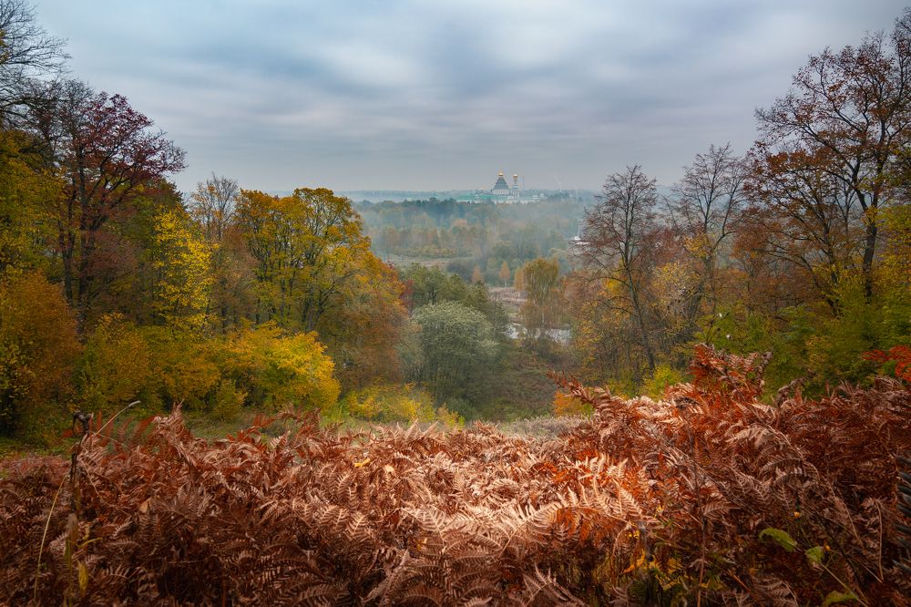 Photograph by Александр Кыров