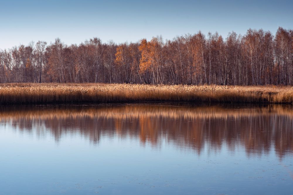 Photograph by Олег Зальвовский