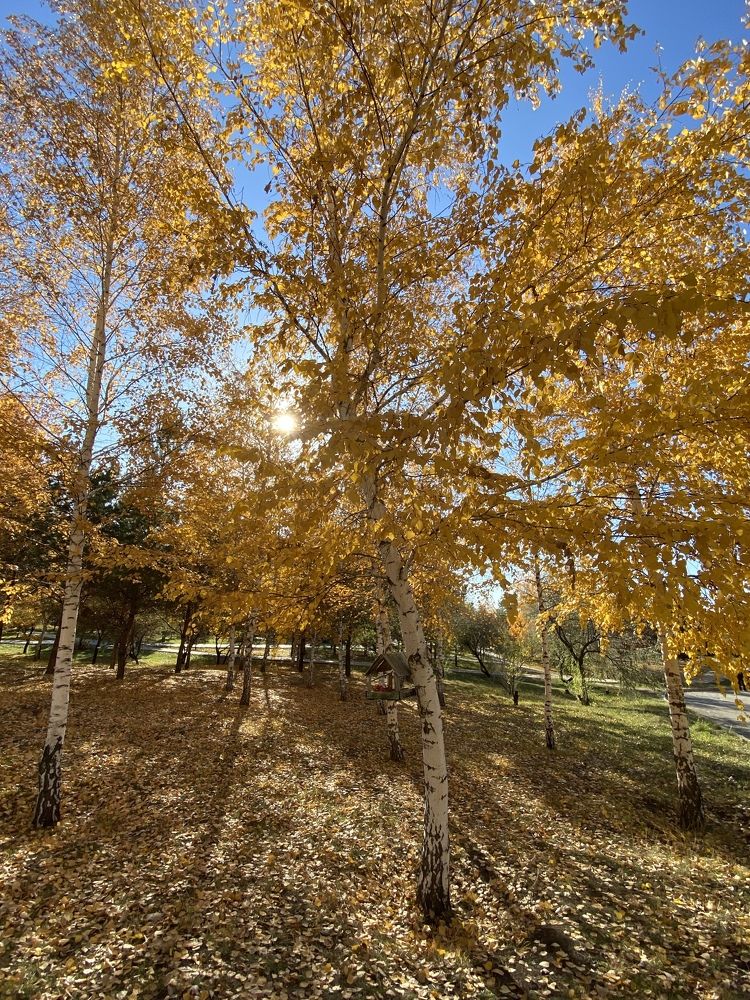 Photograph by  Меруерт