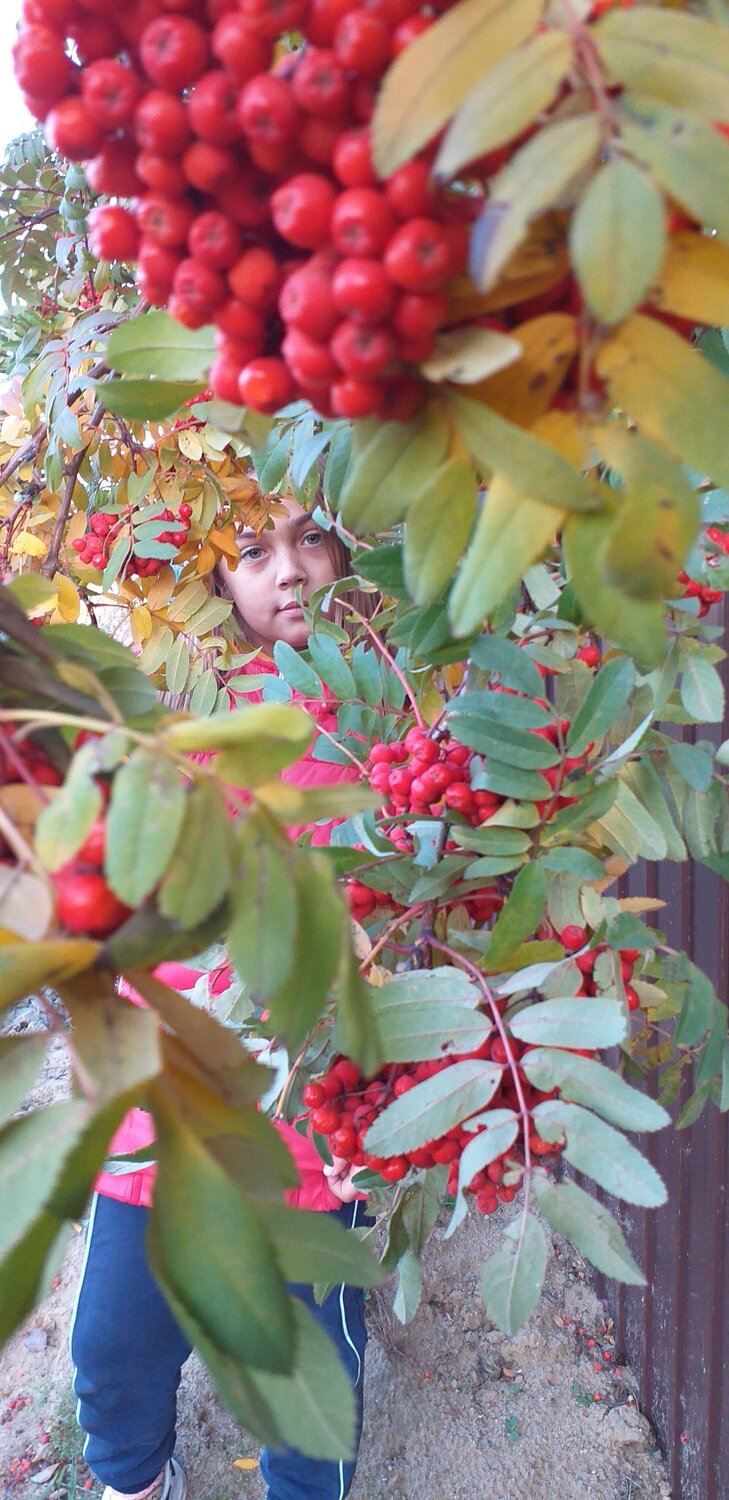 Photo #6609043