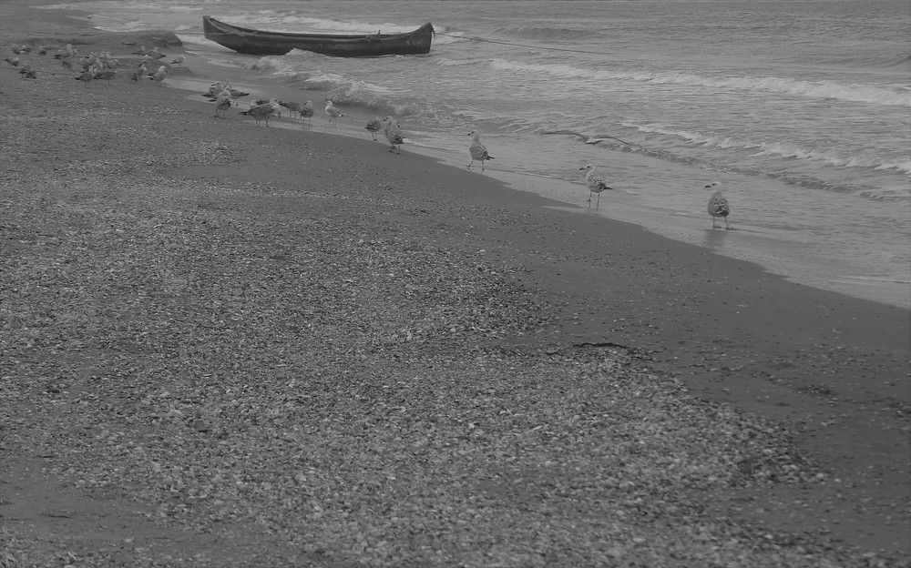 Photograph by Patrizia Gargiulo