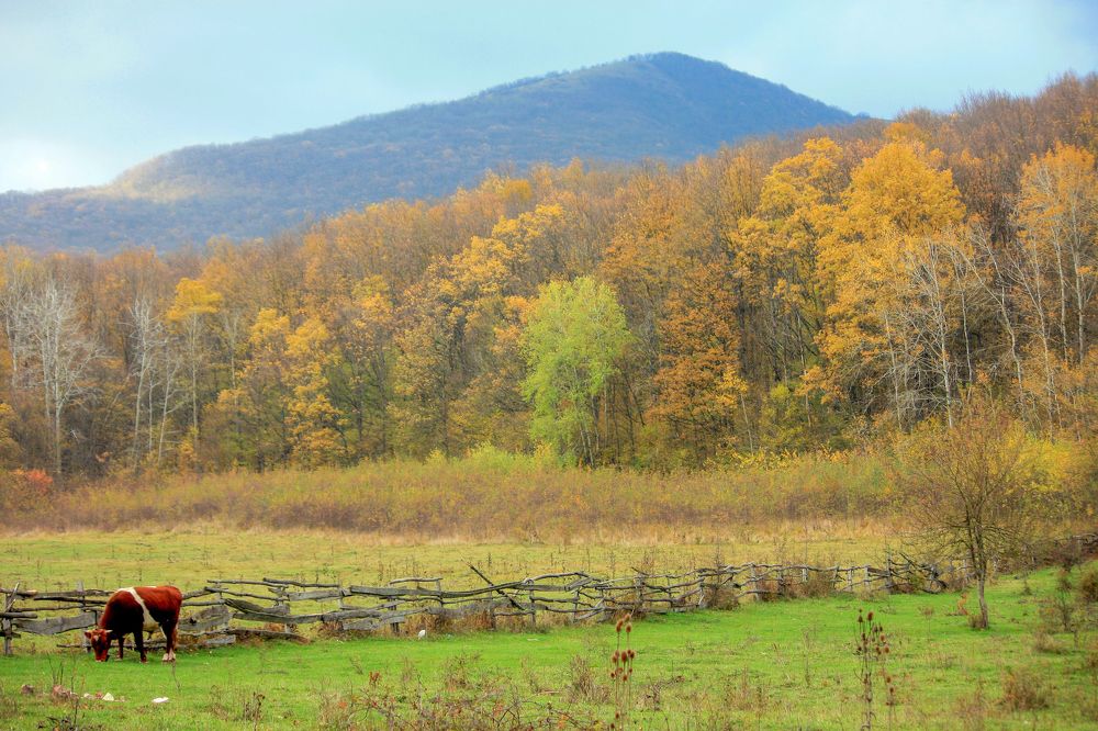 Photograph by Сергей Христинич