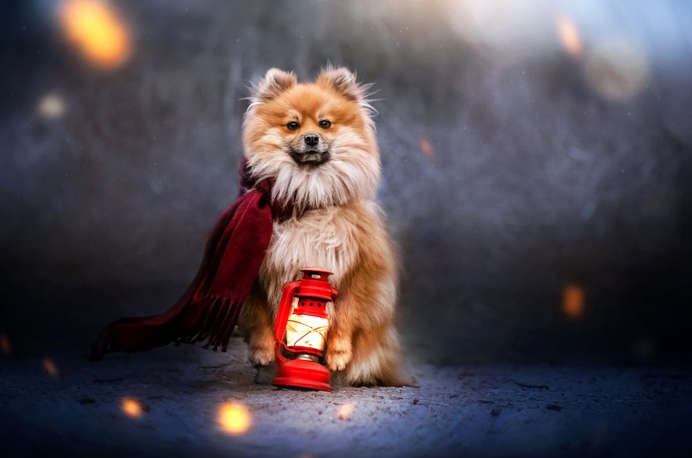 Photograph by Екатерина Кикоть