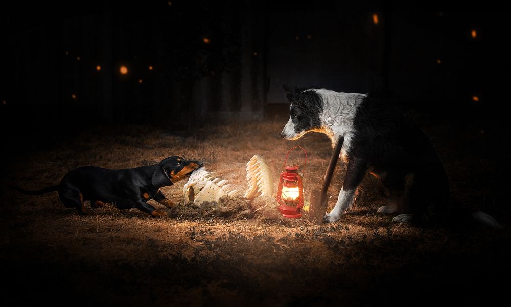 Photograph by Екатерина Кикоть