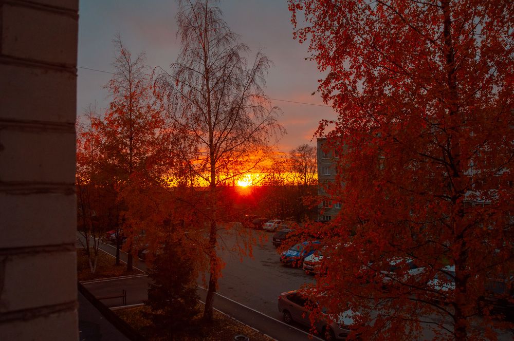 Photograph by Артём Шестаков