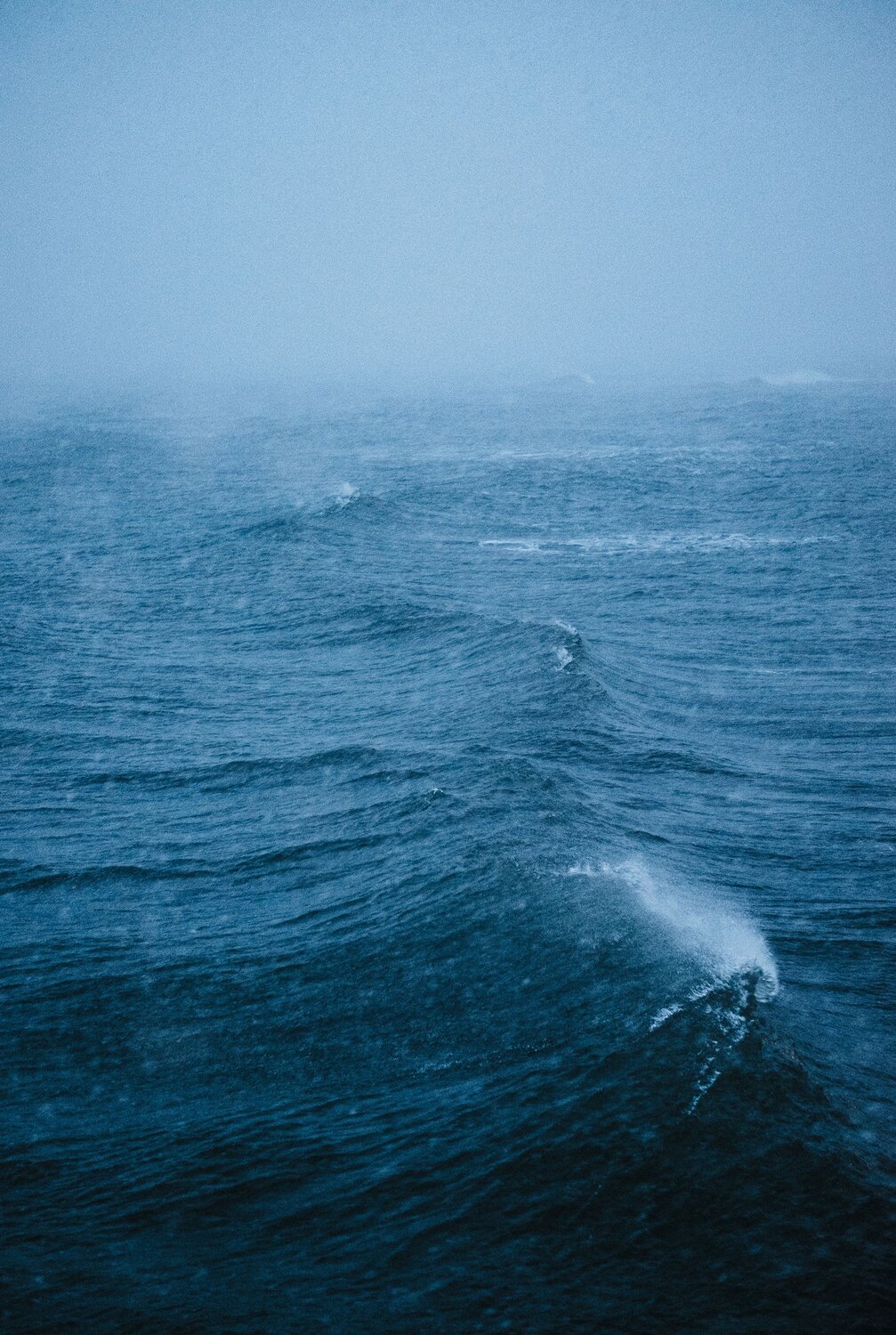 Photo #6609222