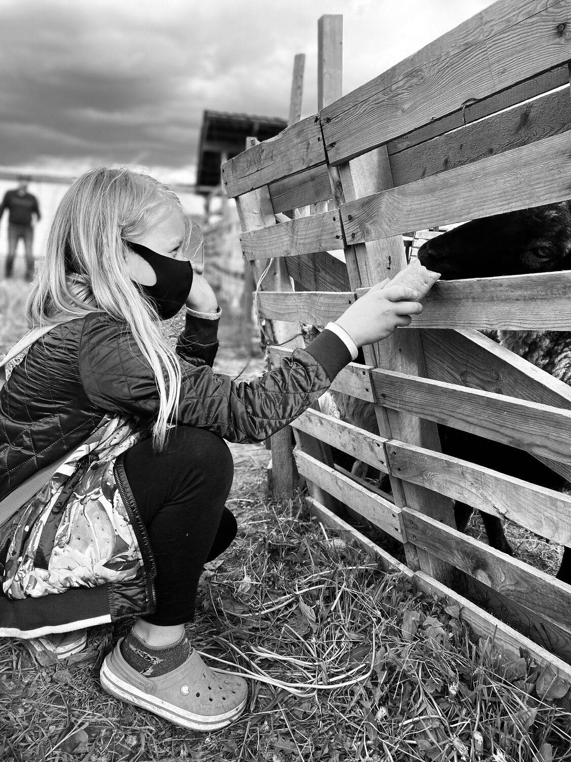 Photo #6609298