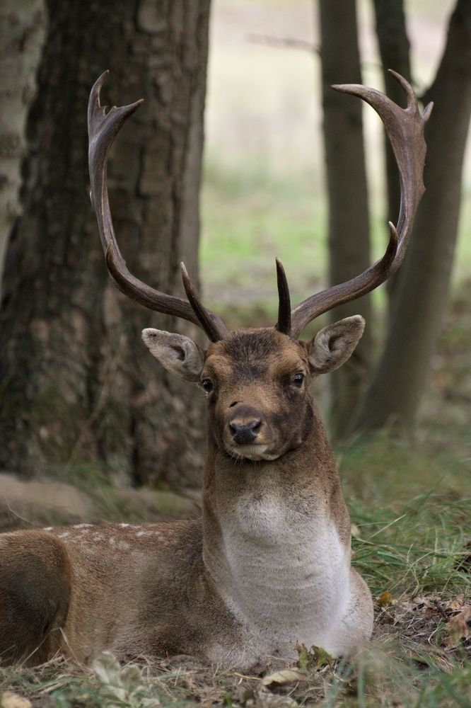 Photograph by Hannah