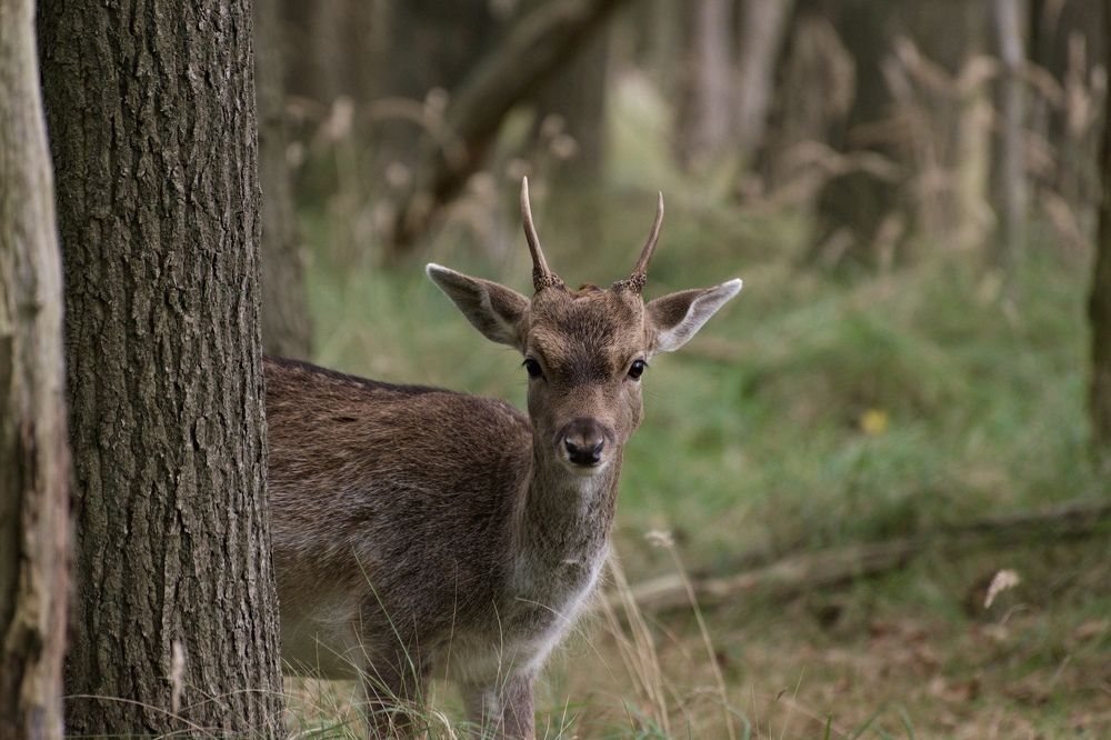 Photograph by Hannah