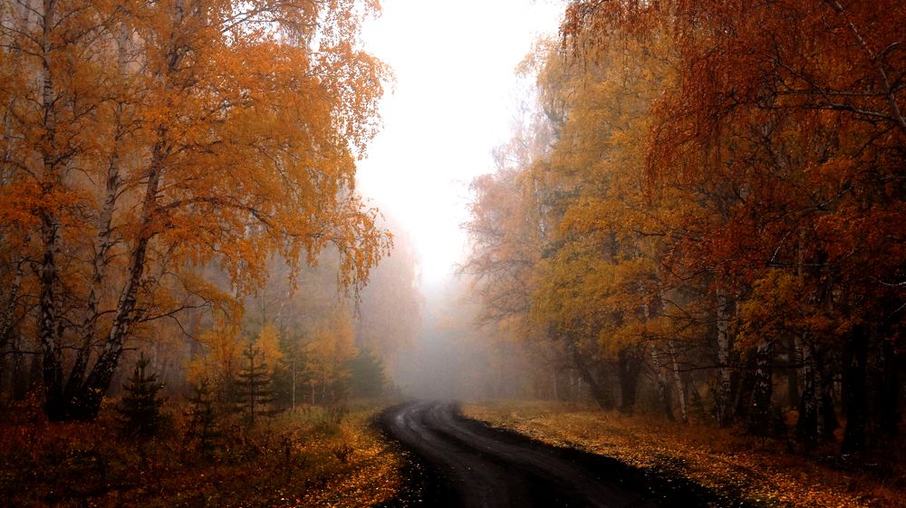 Photograph by Нияз Мирхайдаров