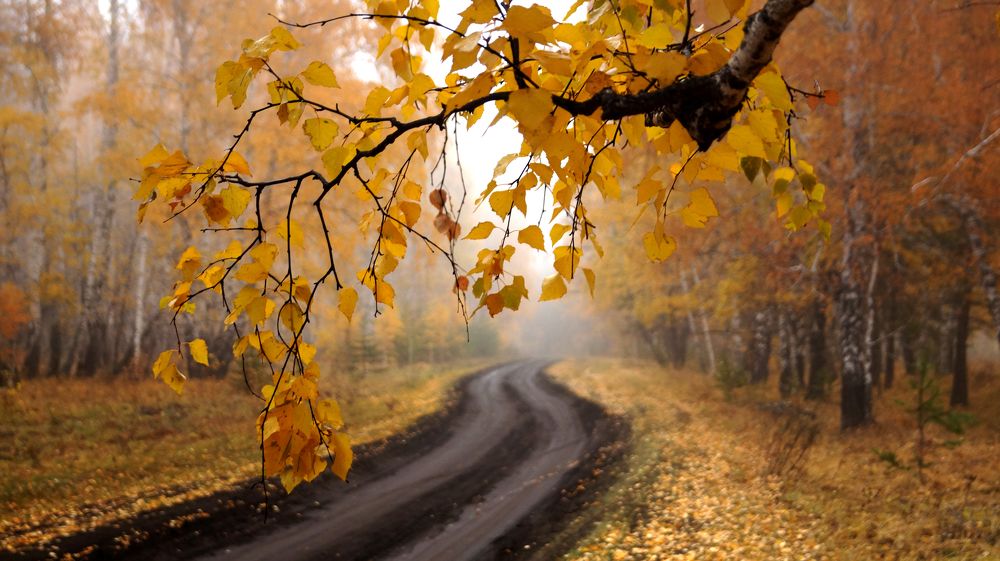 Photograph by Нияз Мирхайдаров