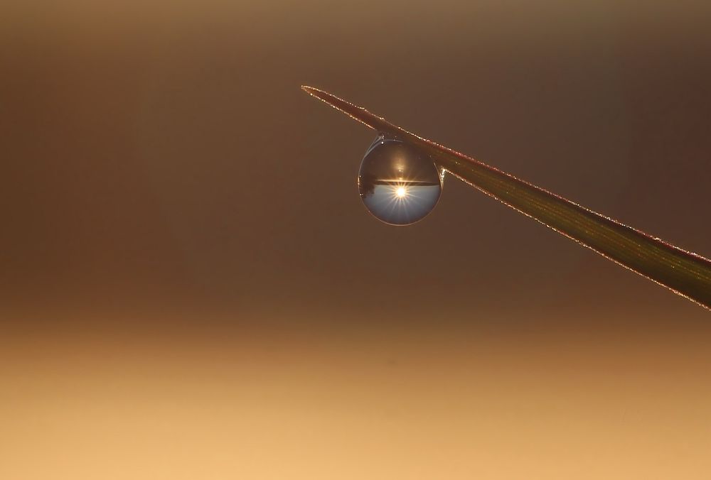 Photograph by Любовь Саханова