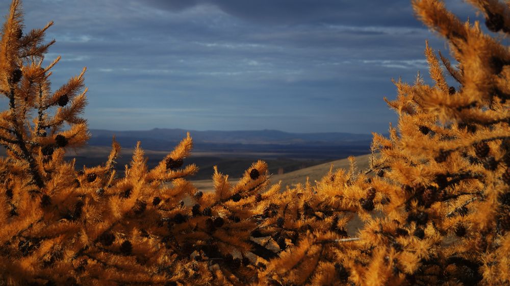 Photograph by Нияз Мирхайдаров