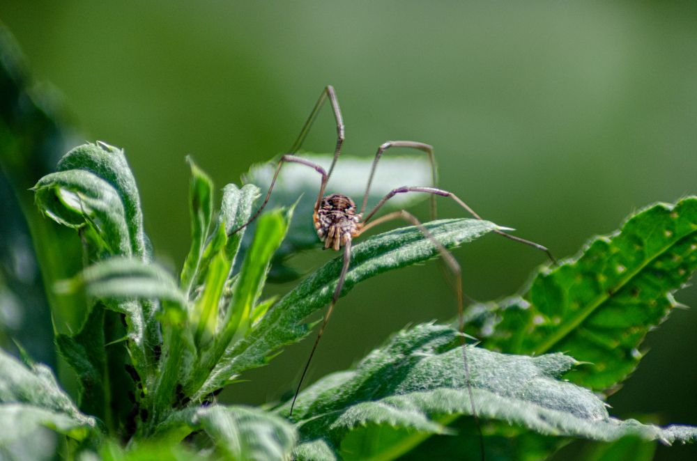 Photograph by Денис Кичев