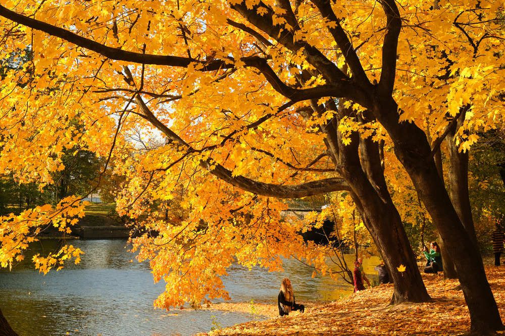 Photograph by Алексей Бойков