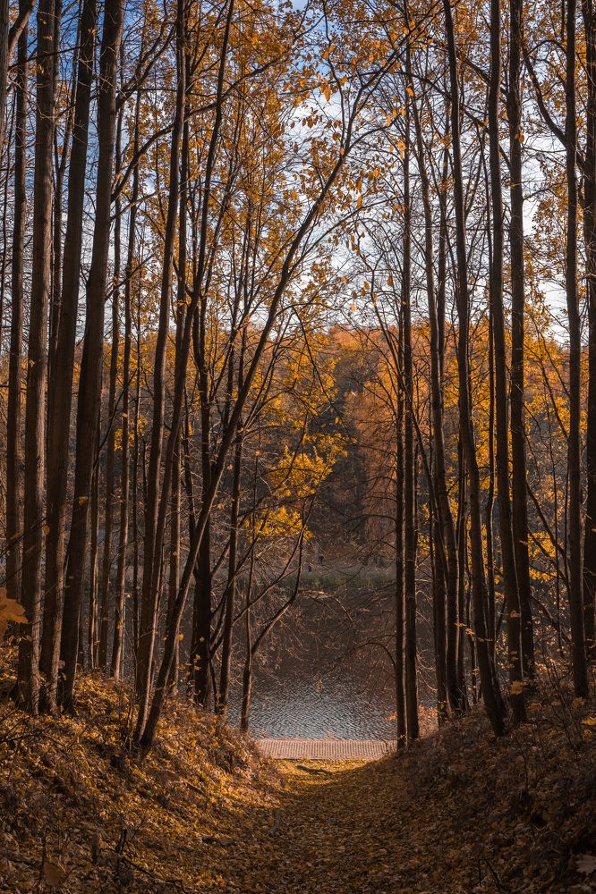Фотография автора Василиса Новикова