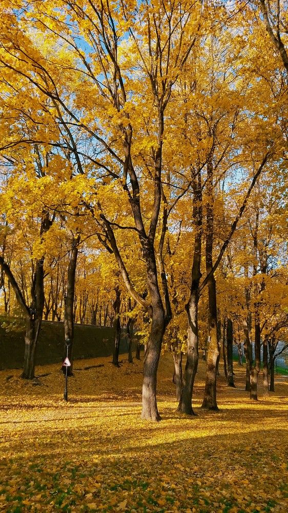 Photograph by Alla Matrosova